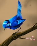 Bird_Blue.jpg
