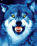 Blue_Wolf.jpg